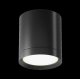 Потолочный светильник Maytoni Technical Hoop C086CM-GX53-MRD-B