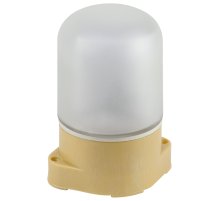 Потолочный светильник Эра НББ 01-60-007 Б0062262