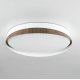 Потолочный светильник Citilux Bonny CL754350G