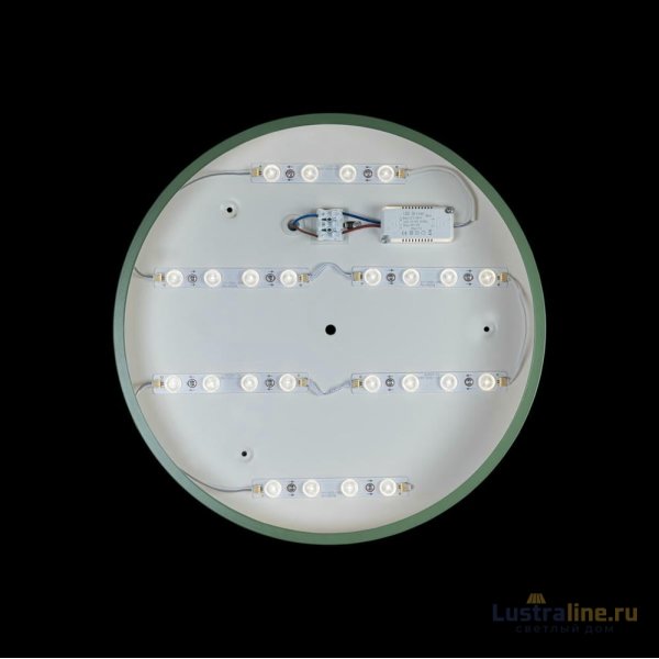 Потолочный светильник Loft IT AXEL 10002/24 Green Потолочный светильник Loft IT AXEL 10002/24 Green