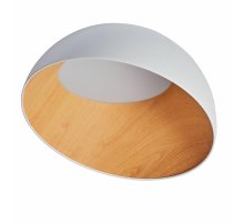 Потолочный светильник Zortes Baum ZRS.01201.20