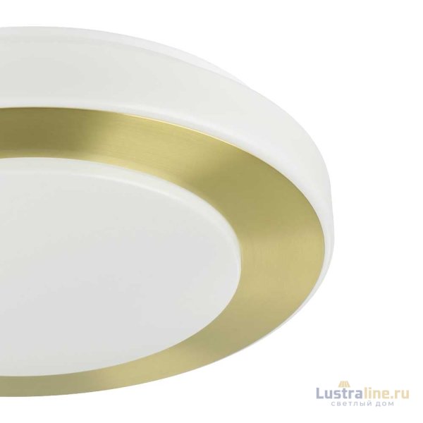 Потолочный светильник Eglo Led Carpi 900369