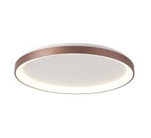 Потолочный светильник Deko-Light Merope 348189