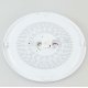 Потолочный светильник Citilux Астрон CL733900G