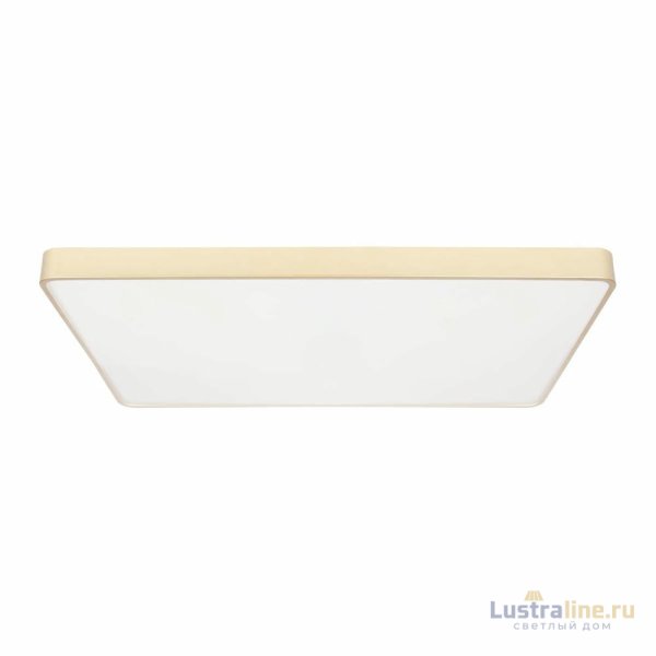 Потолочный светильник Loft IT Flims 10228/E