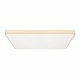 Потолочный светильник Loft IT Flims 10228/E