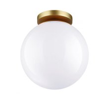 Потолочный светильник Odeon Light 4248/1C