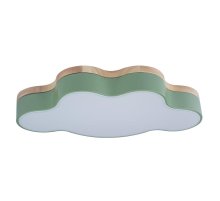 Потолочный светильник Loft IT AXEL 10005/30 Green