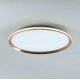 Потолочный светильник LED4U L3020-500 GD
