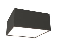 Потолочный светильник Maytoni Zon C032CL-12W3K-SQ-B