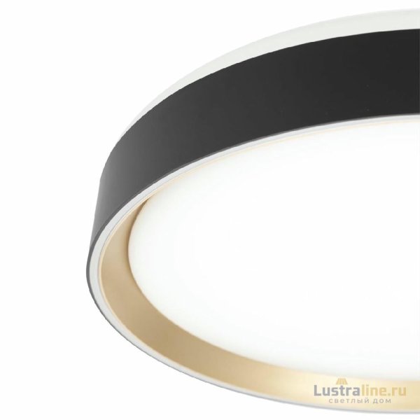 Потолочный светильник Citilux Boss CL751351G