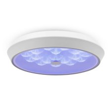 Потолочный светильник Freya Cells FR10012CL-L24W