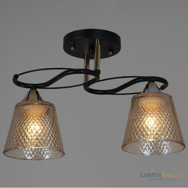 Потолочный светильник Reluce 06087-0.3-02 BK+FG