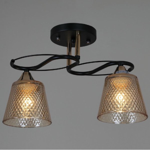 Потолочный светильник Reluce 06087-0.3-02 BK+FG