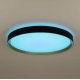 Потолочный светильник Citilux Boss CL751451G