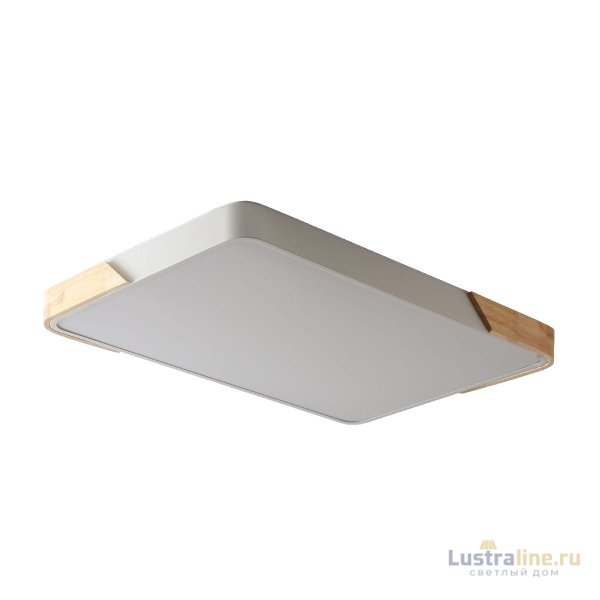 Потолочный светильник Zortes Alberro ZRS.01233.60 Потолочный светильник Zortes Alberro ZRS.01233.60