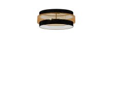 Потолочный светильник Moderli Gela V10628-6C