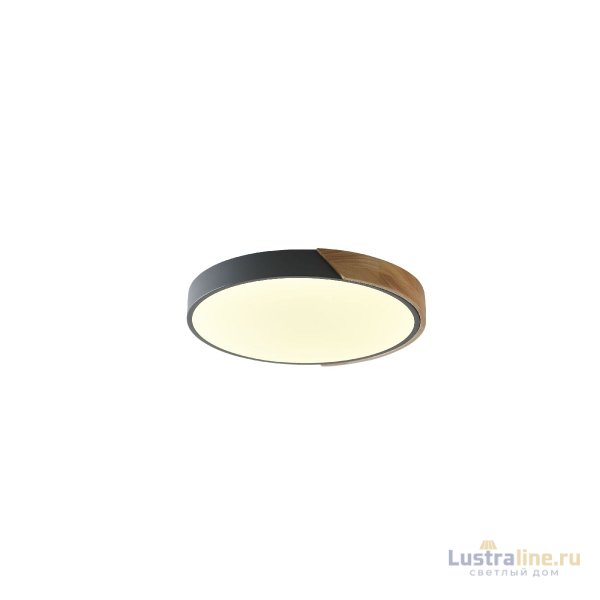 Потолочный светильник Zortes Alberro ZRS.01280.24 Потолочный светильник Zortes Alberro ZRS.01280.24
