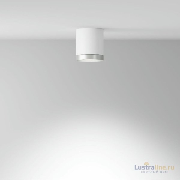 Потолочный светильник Maytoni Technical Hoop C086CM-GX53-MRD-WS
