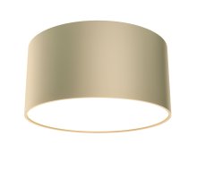 Потолочный светильник Maytoni Technical Ceiling&Wall Zon C032CL-12W3K-RD-MG
