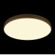 Потолочный светильник Loft IT Flims 10228/B