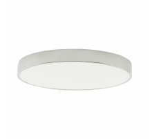 Потолочный светильник Zortes Tortty ZRS.02565.72