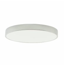Потолочный светильник Zortes Tortty ZRS.02565.72