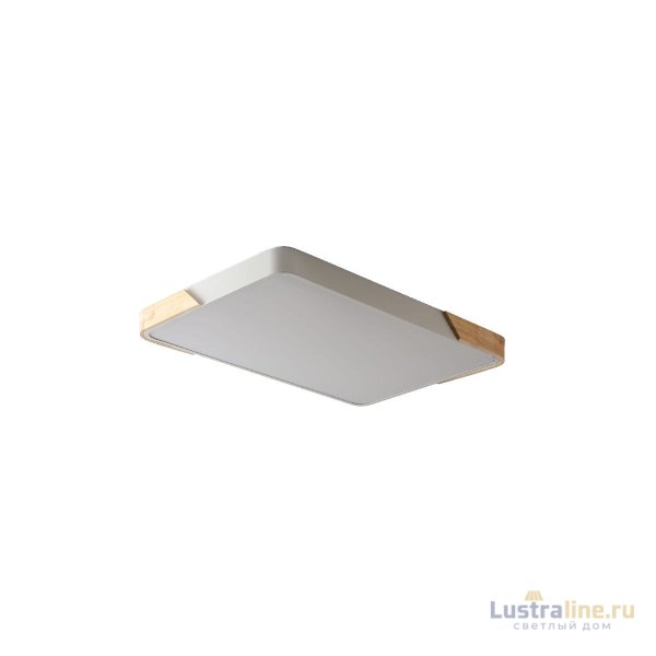 Потолочный светильник Zortes Alberro ZRS.01233.60 Потолочный светильник Zortes Alberro ZRS.01233.60
