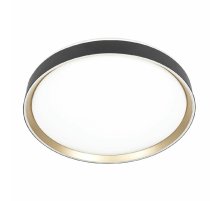 Потолочный светильник Citilux Boss CL751451G