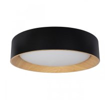 Потолочный светильник Loft IT Coin 10202 Black