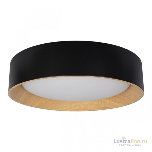 Потолочный светильник Loft IT Coin 10202 Black Потолочный светильник Loft IT Coin 10202 Black