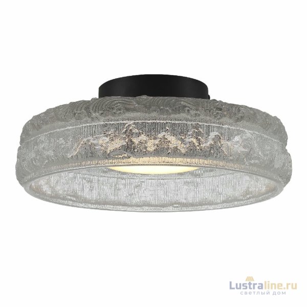 Потолочный светильник ST Luce Antike SL6143.402.01