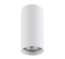 Потолочный светильник Lightstar Rullo 214486
