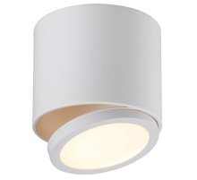 Потолочный светодиодный светильник Omnilux Canicatti OML-20501-01