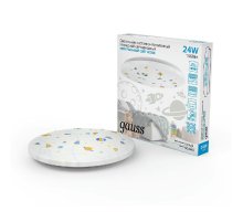 Потолочный светильник Gauss 941411224D