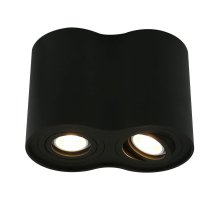 Потолочный светильник Arte Lamp A5644PL-2BK