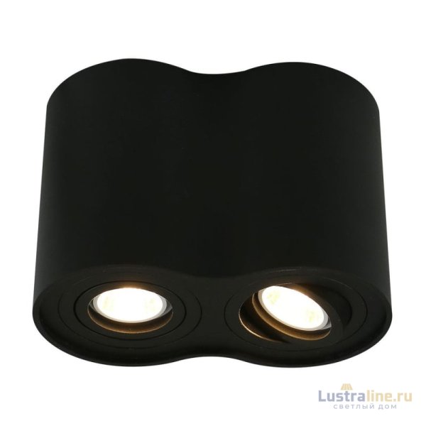 Потолочный светильник Arte Lamp A5644PL-2BK