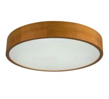Потолочный светильник Kanlux Jasmin 36442