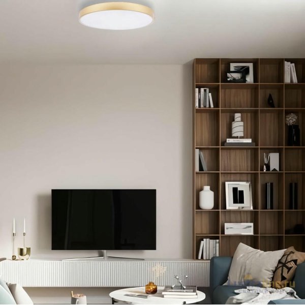 Потолочный светильник Loft IT Flims 10228/B Потолочный светильник Loft IT Flims 10228/B