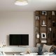 Потолочный светильник Loft IT Flims 10228/B