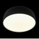 Потолочный светильник Loft IT Axel 10201/480 Black