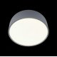 Потолочный светильник Loft IT Axel 10201/350 Grey