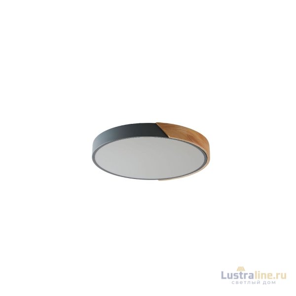 Потолочный светильник Zortes Alberro ZRS.01280.90 Потолочный светильник Zortes Alberro ZRS.01280.90