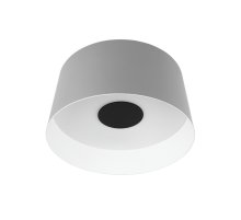 Потолочный светильник Loft IT Duo 10360M Grey