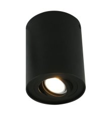 Потолочный светильник Arte Lamp A5644PL-1BK