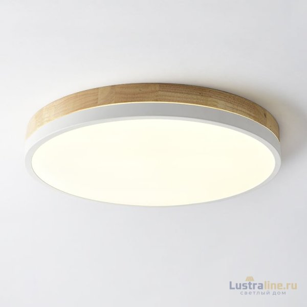 Потолочный светильник ImperiumLoft Disc 189903-26 Потолочный светильник ImperiumLoft Disc 189903-26
