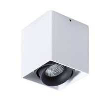 Потолочный светильник Arte Lamp Pictor A5654PL-1WH