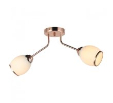 Потолочный светильник IMEX MD.0538-2-S-PKGD