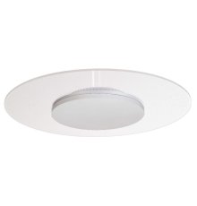 Потолочный светильник Deko-Light Zaniah 620048