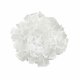 Потолочный светильник Loft IT Clizia 10231/530C White